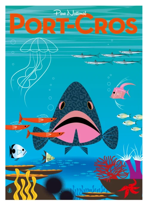 038-Port-Cros mérou, Parc National, Affiche, Tirage Art, Digigraphie, Illustration, œuvre, Poster, Fine Art, Design. Monsieur Z