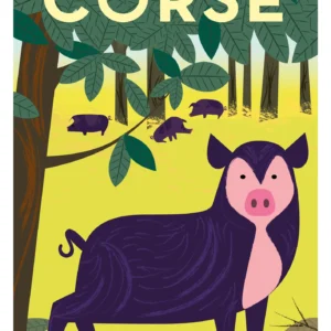 225-cochon corse Affiche, Tirage Art, Digigraphie, Illustration, œuvre, Poster, Fine Art, Design. Monsieur Z