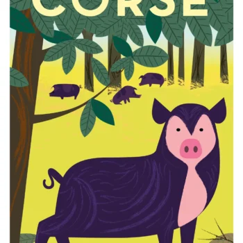 225-cochon corse Affiche, Tirage Art, Digigraphie, Illustration, œuvre, Poster, Fine Art, Design. Monsieur Z
