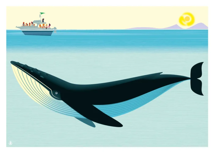 Affiche d'une baleine dans les eaux du sanctuaire Pelagos par Monsieur Z