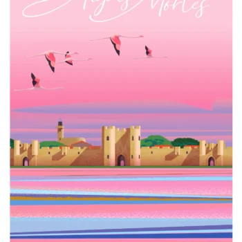 531- Aiges Mortes Frane Languedoc Roussillon Flamment rose. Affiche, Tirage Art, Illustration, œuvre, Poster, Fine Art, Digigraphie. Monsieur Z
