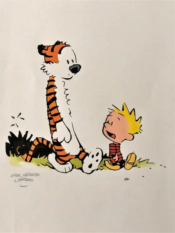 Calvin et Hobbes Bandes dessinées Bill Watterson